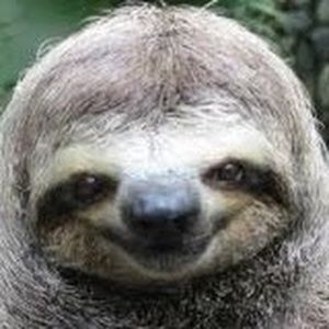 Meet your Posher, Sloth